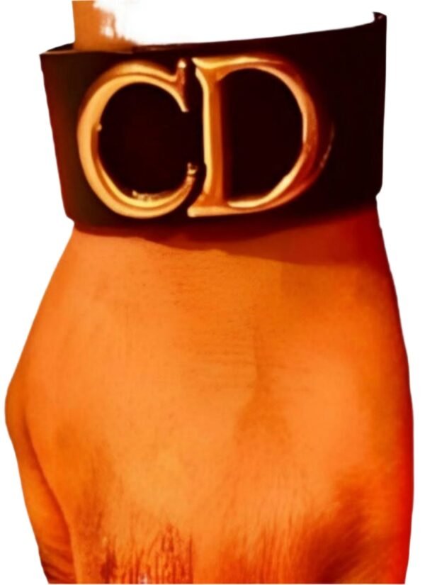Chic Women  Bracelet