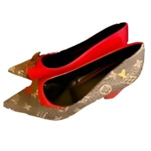Fashion Shoes