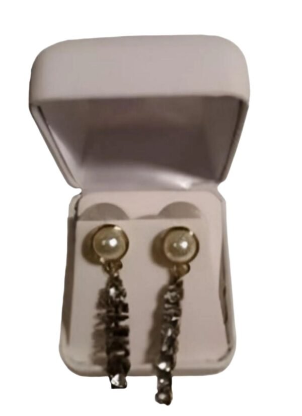 Chic Pendant Earrings