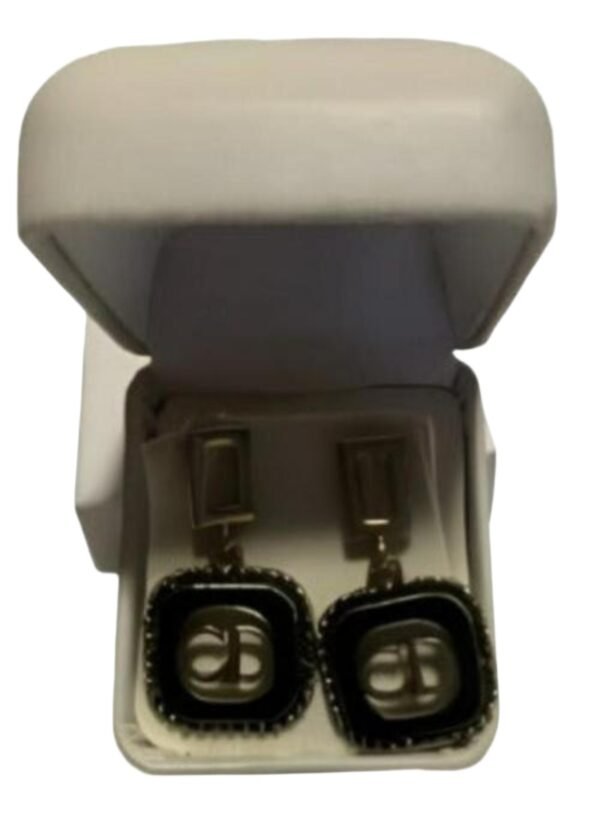 Luxury Earrings