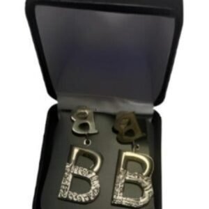 Pendant Lux Earrings