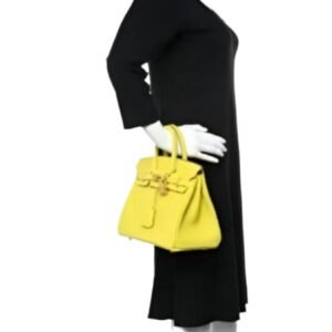 Fashion Women's Handbag