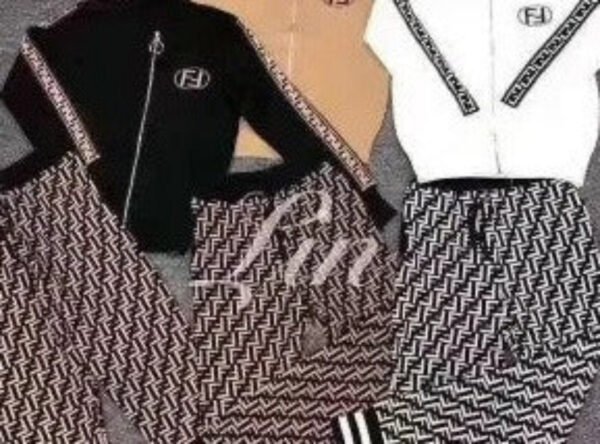 Chic  Two Pieces Long Sleeve Top With Front Zipper & Jegging - Image 3